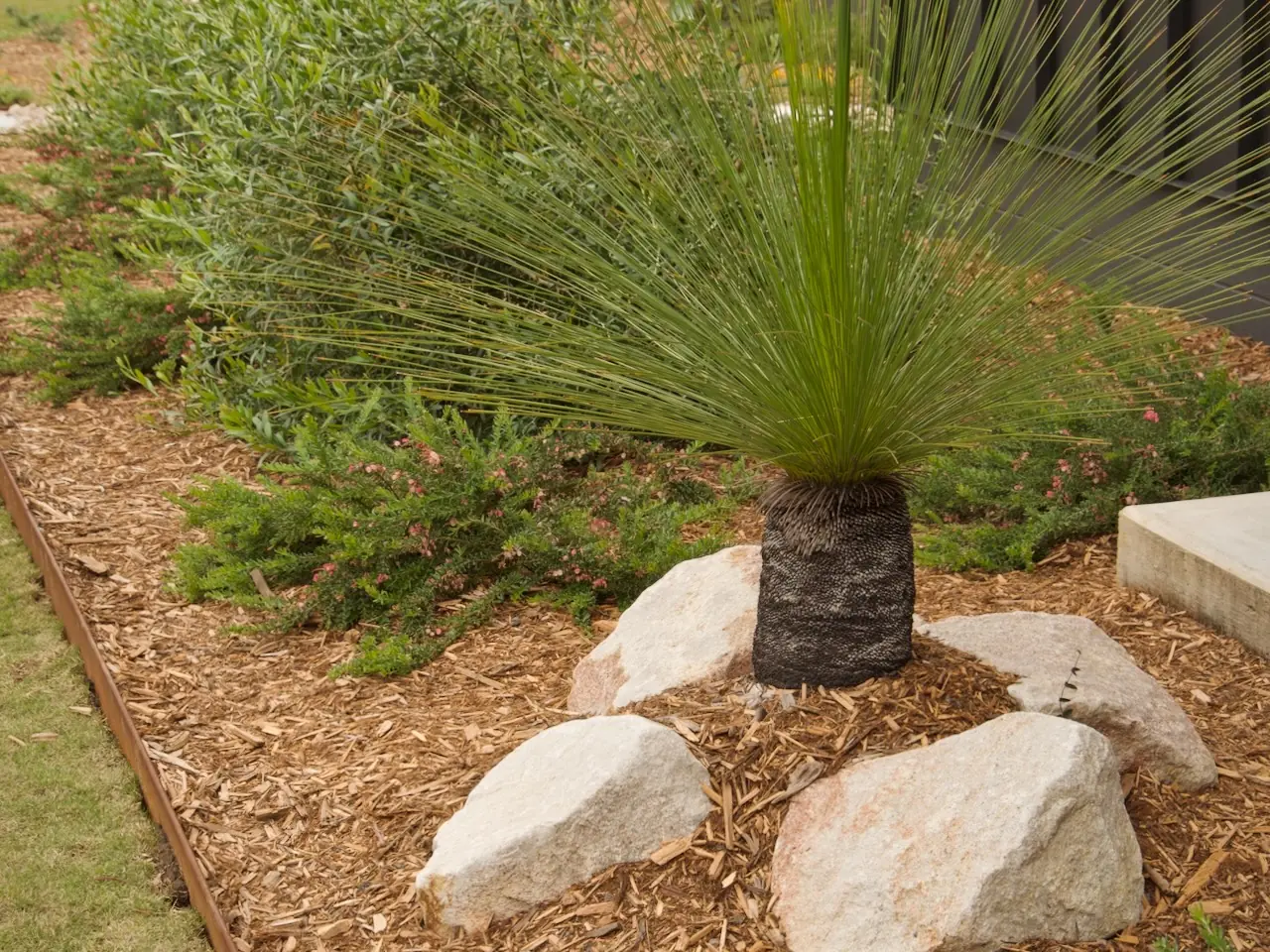 Mulched garden bed with healthy planting and no weeds through it